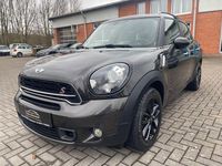 Gebraucht Mini Cooper S Countryman 190 PS (139 kW) 2014 Grau SUV
