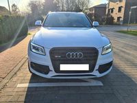 Gebraucht Audi SQ5 Sport 360 PS (264 kW) 2015 Weiß SUV