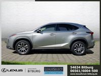 gebraucht Lexus NX300h Executive Leder Standheizung