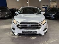 Gebraucht Ford Ecosport Trend 101 PS (74 kW) 2020 Weiß SUV