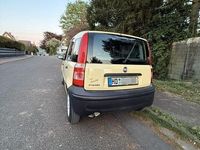 Gebraucht Fiat Panda Active 54 PS (39 kW) 2009 Gelb Kleinwagen