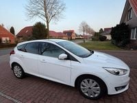 Usata Ford Focus 150 CV (110 kW) 2016 Bianco Berlina