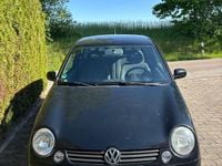 Gebraucht VW Lupo Basis 50 PS (36 kW) 2004 Schwarz Kleinwagen