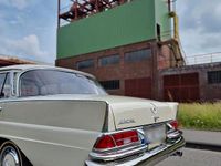 Gebraucht Mercedes 220 120 PS (88 kW) 1963 Beige Limousine