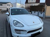 Gebraucht Porsche Cayenne 299 PS (219 kW) 2013 Weiß SUV
