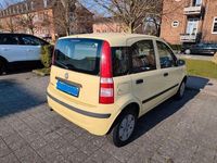 Gebraucht Fiat Panda 54 PS (39 kW) 2009 Gelb Kleinwagen
