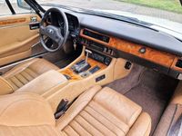 gebraucht Jaguar XJS V12 Automatik BTC-Kauf