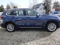 Gebraucht BMW X5 265 PS (194 kW) 2020 Phytonicblau metallic SUV