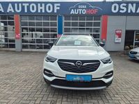 Gebraucht Opel Grandland X 177 PS (130 kW) 2019 Weiß SUV