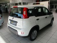 Gebraucht Fiat Panda 69 PS (50 kW) 2024 Weiß Kleinwagen