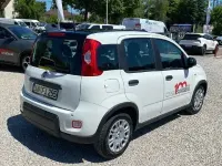Gebraucht Fiat Panda Cross Cross 69 PS (50 kW) 2024 Weiß Kleinwagen