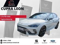 Gebraucht Cupra Leon 150 PS (110 kW) 2025 Grau Limousine