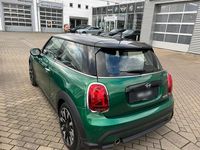 Gebraucht Mini Cooper 136 PS (100 kW) 2022 Grün Kleinwagen