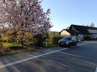 Gebraucht Citroën C3 120 PS (88 kW) 2014 Grün Kleinwagen