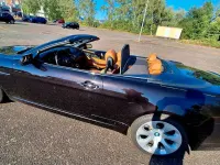 Gebraucht BMW 650 Cabriolet Sport Line 367 PS (269 kW) 2008 Schwarz Cabrio