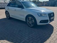 Gebraucht Audi SQ5 Competition 340 PS (250 kW) 2016 Weiß SUV