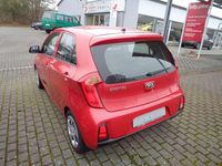 Gebraucht Kia Picanto Edition 7 69 PS (50 kW) 2017 Signalrot met. Kleinwagen