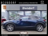 gebraucht Mazda CX-30 Selection 150 Design|Activ|Bose|Navi