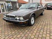 gebraucht Jaguar XJ40 Leder Klima H-Kennz Top Gepflegt