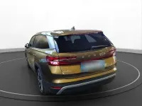 Gebraucht Skoda Kodiaq Selection 150 PS (110 kW) 2024 Gold SUV