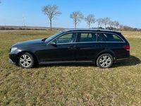 Gebraucht Mercedes E220 Avantgarde 170 PS (125 kW) 2015 Schwarz Kombi