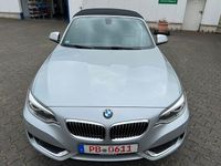 Gebraucht BMW 220 Luxury Line 190 PS (139 kW) 2016 Silber Cabrio