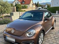 Gebraucht VW Beetle Cabriolet Allstar 110 PS (80 kW) 2016 Braun Cabrio