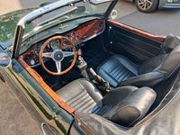 gebraucht Triumph TR6 