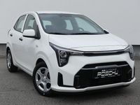 Neu Kia Picanto 68 PS (50 kW) 2025 Weiß Kleinwagen