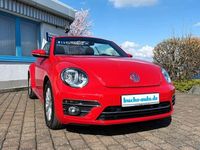 Gebraucht VW Beetle Cabriolet Design 140 PS (102 kW) 2018 Schwarz Cabrio