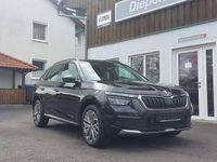 Gebraucht Skoda Kamiq Clever 110 PS (80 kW) 2021 Schwarz SUV
