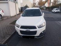 Gebraucht Chevrolet Captiva LT 222 PS (163 kW) 2013 Weiß SUV