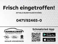 Neu BYD Dolphin Surf Boost 64 kW (88 PS) 2025 Grün Kleinwagen