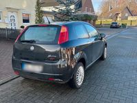 gebraucht Fiat Punto 