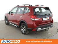 Gebraucht Subaru Forester Trend 150 PS (110 kW) 2020 Rot SUV
