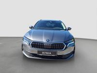 Gebraucht Skoda Octavia Selection 150 PS (110 kW) 2025 Grau Kombi