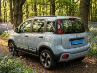 Gebraucht Fiat Panda Cross Cross 69 PS (50 kW) 2019 Grau Kleinwagen