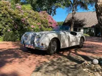 Gebraucht Jaguar XK 213 PS (156 kW) 1956 Weiß Cabrio