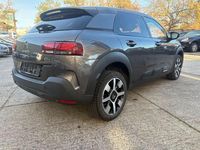 Gebraucht Citroën C4 Cactus Shine 102 PS (75 kW) 2020 Grau Kleinwagen