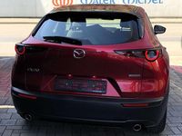Gebraucht Mazda CX-30 Selection 122 PS (89 kW) 2023 Soul red crystal SUV