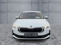 Neu Skoda Octavia 150 PS (110 kW) 2025 Weiß Kombi