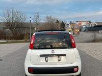 Gebraucht Fiat Panda 86 PS (63 kW) 2013 Weiß Kleinwagen