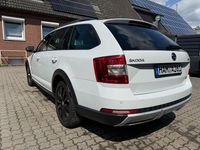 Gebraucht Skoda Octavia Scout 150 PS (110 kW) 2019 Weiß Kombi