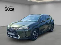 Gebraucht Lexus UX 250h 184 PS (135 kW) 2023 Grün SUV