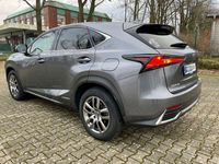 gebraucht Lexus NX300h NX Executive Line 4WD (197 PS System)