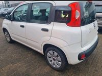 Gebraucht Fiat Panda 69 PS (50 kW) 2012 Weiß Limousine