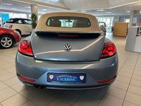 Gebraucht VW Beetle Cabriolet Design 150 PS (110 kW) 2018 Blau Cabrio