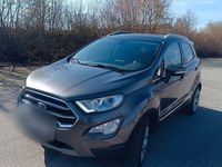 Gebraucht Ford Ecosport Titanium X 140 PS (102 kW) 2019 Grau SUV