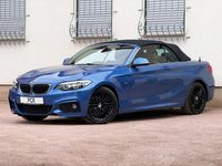Gebraucht BMW 230 M Sport 252 PS (185 kW) 2018 Estorilblau ii Cabrio