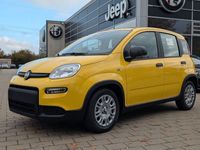 Neu Fiat Panda 69 PS (50 kW) 2025 Gelb Kleinwagen